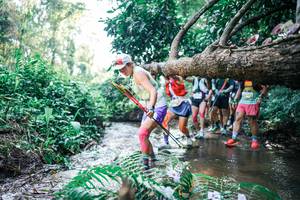 BIB: 
                            <button type="button" onclick="openModal(25449968)" class="btn btn-primary btn-sm float-right btn-popup" data-toggle="modal" data-target=".modal-high-quality">
                        <i class="fas fa-shopping-cart"></i> Add to Cart
                    </button>
                                            <button type="button" onclick="isThisMe(25449968, true)" class="btn btn-success btn-sm float-right btn-popup btn-isme hidden" data-toggle="tooltip" data-placement="bottom" title="นี่คือรูปของคุณใช่ไหม คลิกที่นี่เพื่อเอาเข้าอัลบั้ม">
                        <i class="fas fa-plus"></i> Add to album
                    </button>
                    <button type="button" onclick="isThisMe(25449968, false)" class="btn btn-warning btn-sm float-right btn-popup btn-isnotme hidden">
                        <i class="fas fa-ban"></i> Remove from album
                    </button>